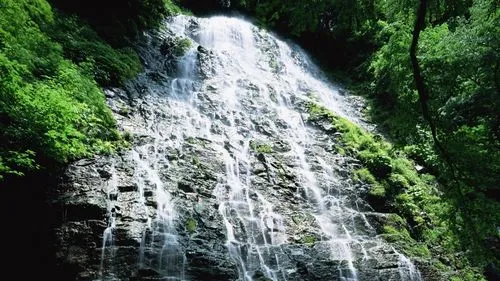 节能绿色